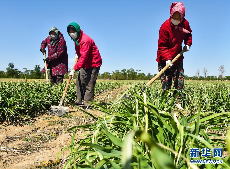 （新華全媒頭條·圖文互動(dòng)）（17）從人民中汲取磅礴力量——習(xí)近平總書(shū)記同出席2020年全國(guó)兩會(huì)人大代表、政協(xié)委員共商國(guó)是紀(jì)實(shí)