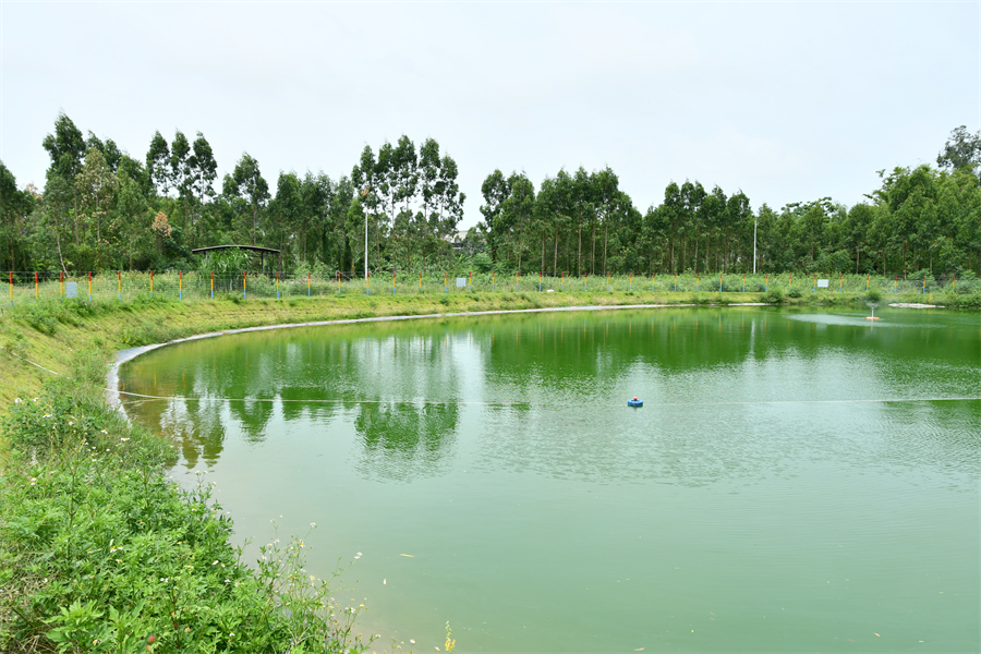 草潭大村生態(tài)魚塘.JPG