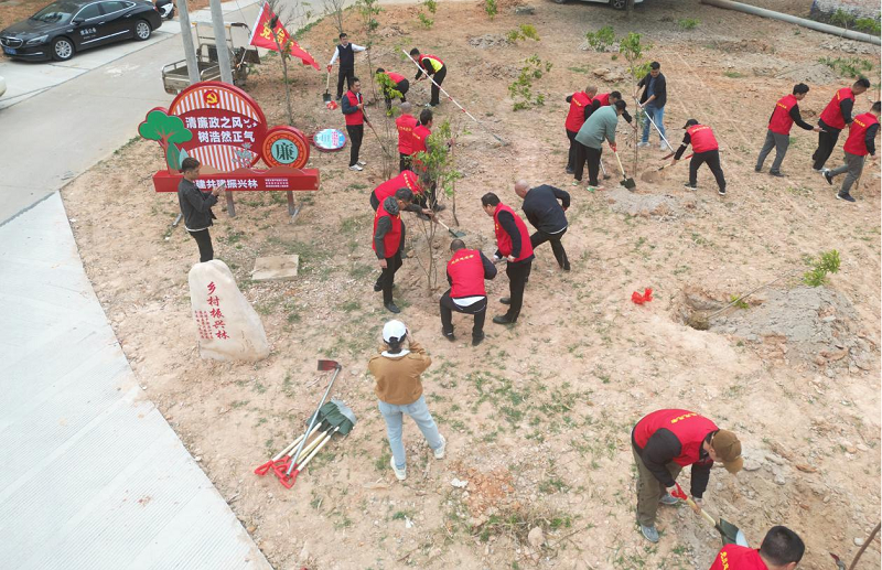 樂民鎮(zhèn)開展“黨建共建添新綠，共創(chuàng)綠美新農(nóng)村”主題黨日植樹活動